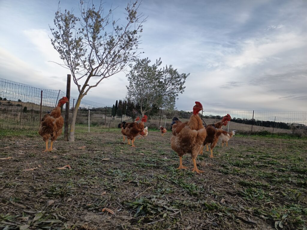 Accueil img 20260103 155514