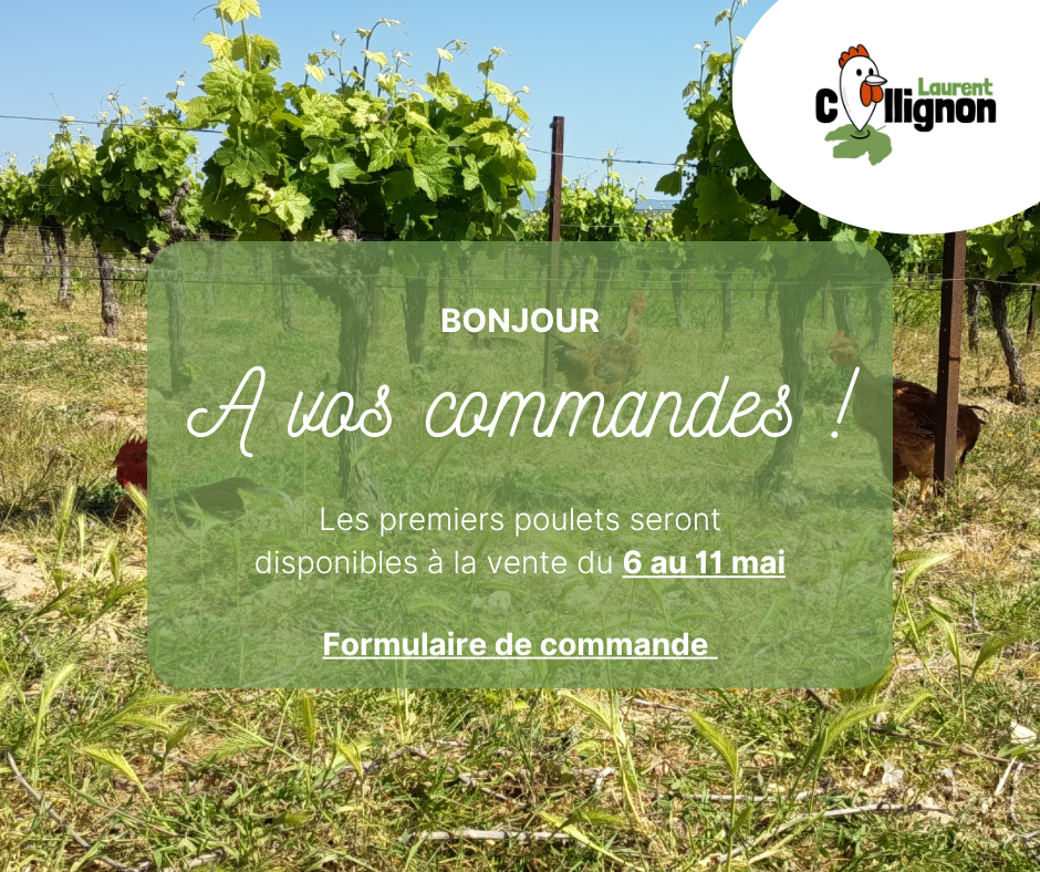 a vos commandes